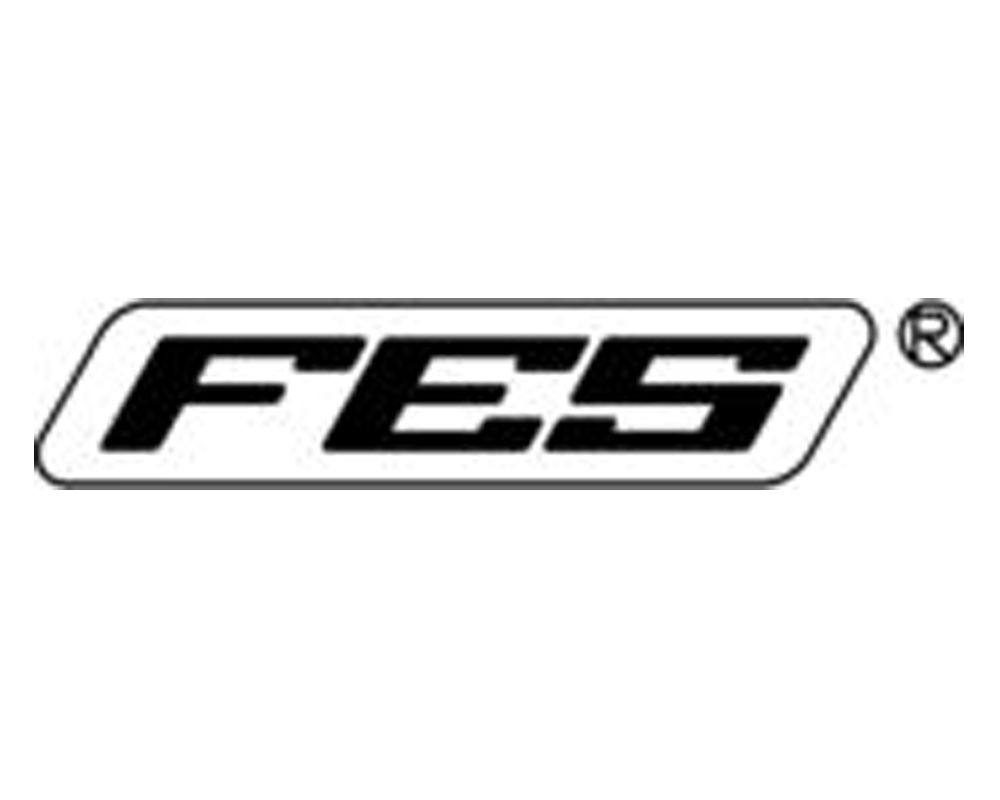 FES